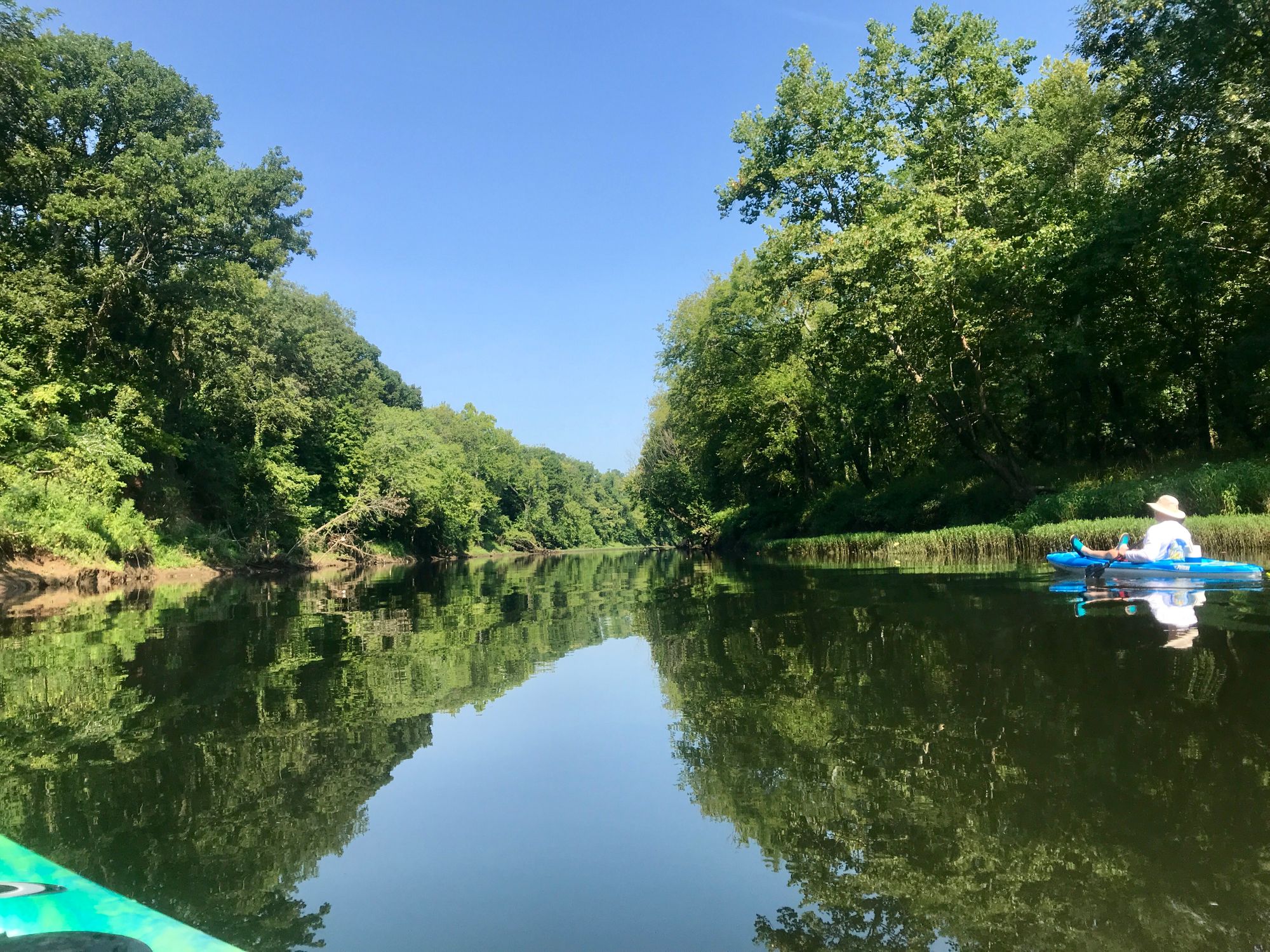 Back in the Kayak Again